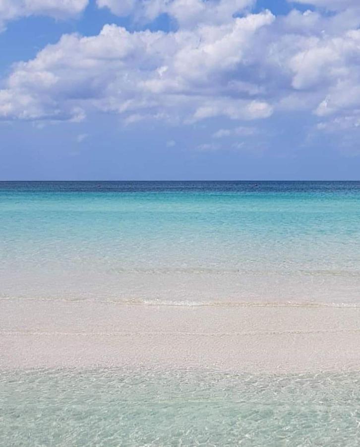 Manidibianco Apulian Relaxing Stay Тури Екстериор снимка